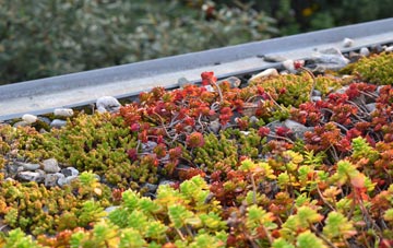 the cost of Copster Hill green roof installation