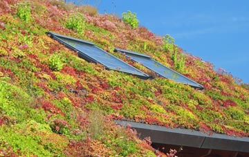 Copster Hill living roof systems